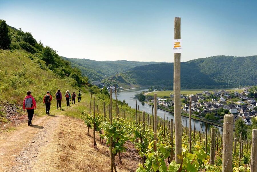 Traben-Trarbach / Bernkastel-Kues, Moselle: Wine experience hike - Village and Vineyard Walk with a Winegrower