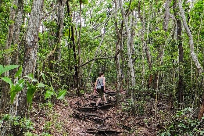 Trek Tours Hiking Experience in Antigua - Choosing Your Trail: Easy Walks to Steep, Rocky Summits