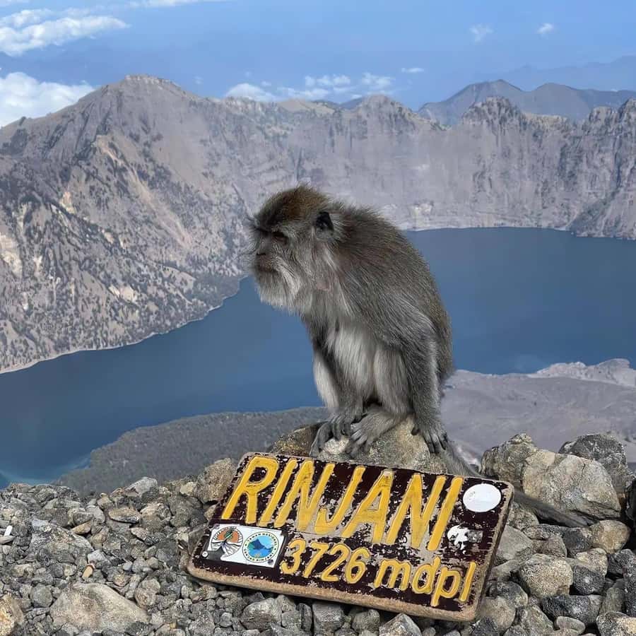 trekking mount rinjani summit join in group tour - Day 2: the 3am start, summit 3,726m, and sunrise that’s worth the pain