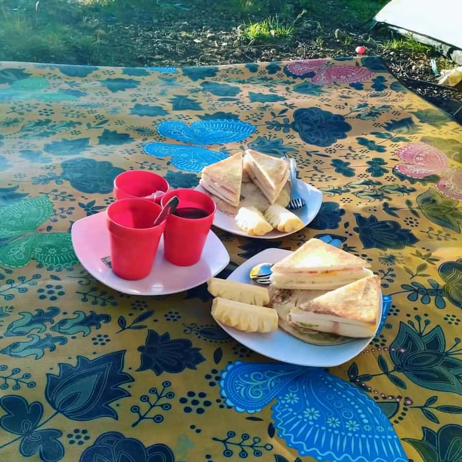 trekking mount rinjani summit join in group tour - Guide and porter support: the difference between surviving and enjoying it