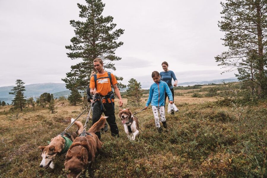 Tromsø: Husky Hike and Puppy Visit with Traditional Lunch - Getting kitted up: boots, rain gear, and the harness reality