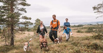 Tromsø: Husky Hike and Puppy Visit with Traditional Lunch - Where You Meet and What’s Included Before You Even Start