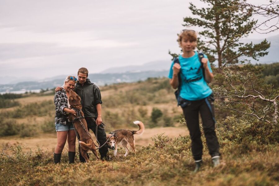 Tromsø: Husky Hike and Puppy Visit with Traditional Lunch - Price and value: where the $172 goes