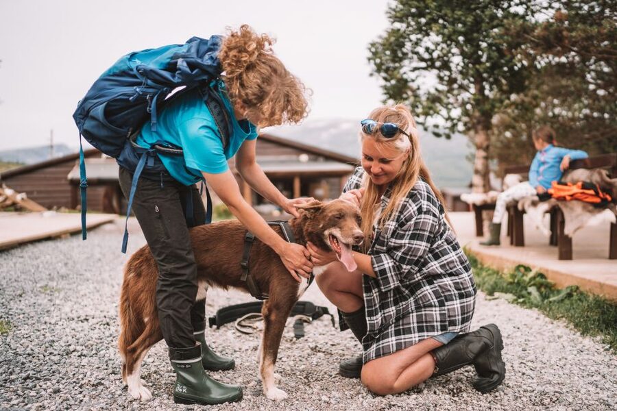 Tromsø: Husky Hike and Puppy Visit with Traditional Lunch - Who should book (and who might rethink it)