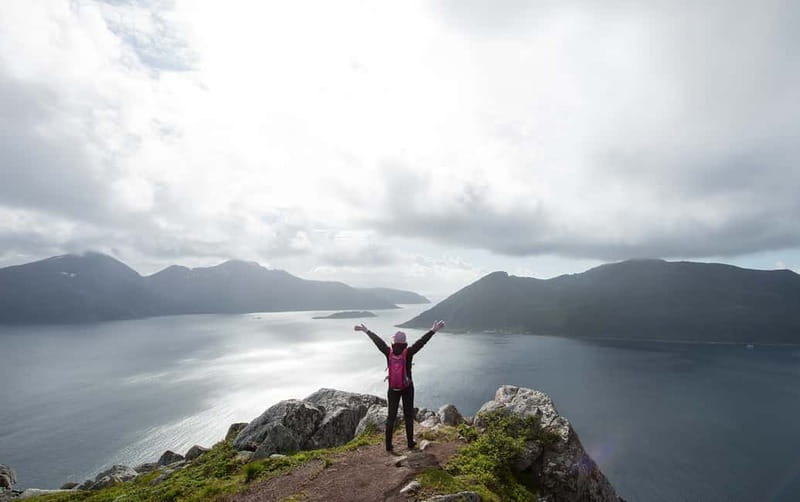 Tromsø: Summer Day Hike in the wilderness - Wildlife, birds, and berries: how to actually spot them