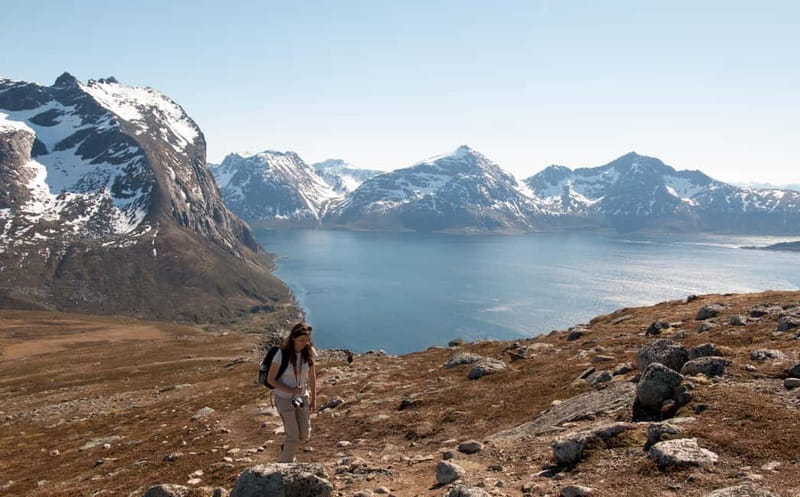 Tromsø: Summer Day Hike in the wilderness - Starting at Scandic Ishavshotel: easy to find, easy to join