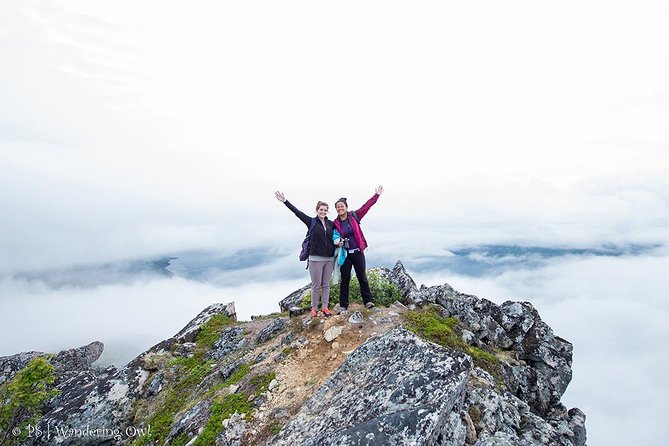 Tromsø: Summer Day Hike with Wandering Owl - On the Trail: Rugged Routes, Fjord Views, and a Relaxed Pace