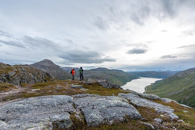 Tromsø: Summer Day Hike with Wandering Owl - Wildlife, Plants, and Those Small Moments You’ll Remember