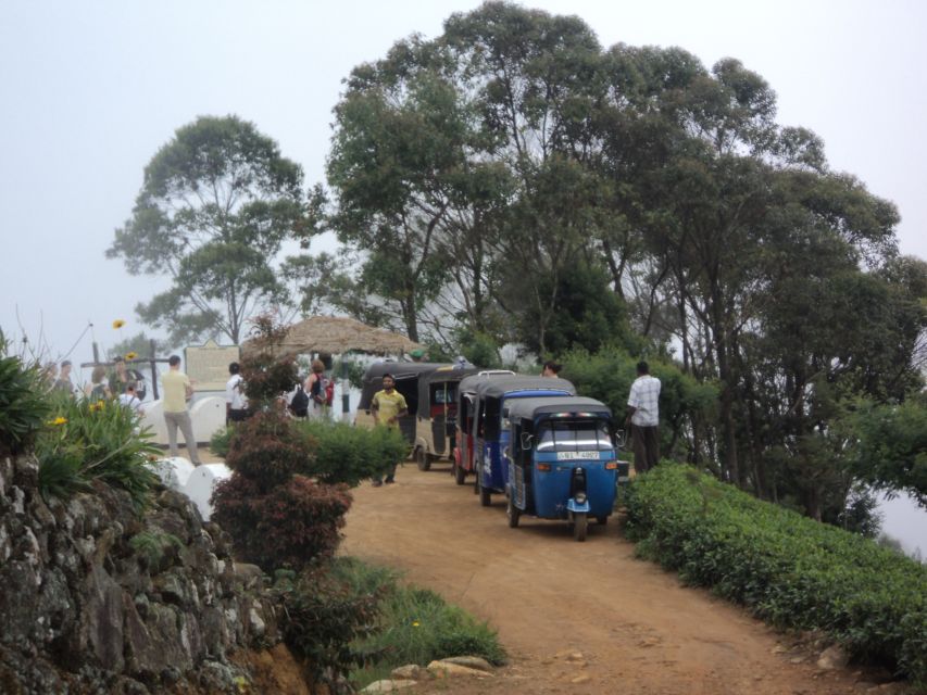 Tuk-Tuk Safari Liptons seat,Tea Fields Hike,TeaFactory Tour - English guide and small-group feel: how the tour actually stays personal
