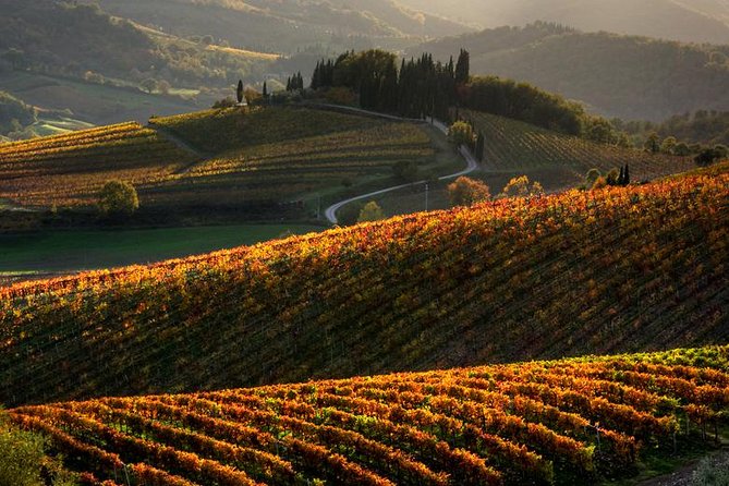 Tuscany Hiking Tour from Siena Including Wine Tasting - Key Takeaways Before You Go