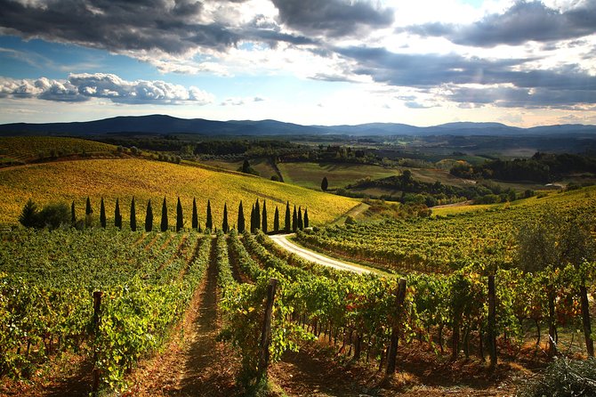 Tuscany Hiking Tour from Siena Including Wine Tasting - Via Francigena Hike That Starts Right at Siena Station