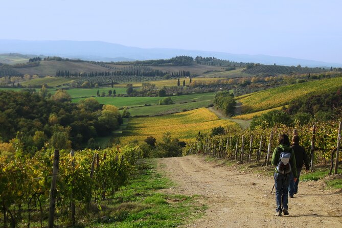 Tuscany Hiking Tour from Siena Including Wine Tasting - How the Transport and Return Ticket Fit Your Day
