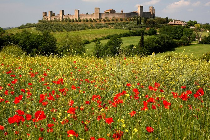 Tuscany Hiking Tour from Siena Including Wine Tasting - Should You Book This Tuscany Hiking + Wine Tour?