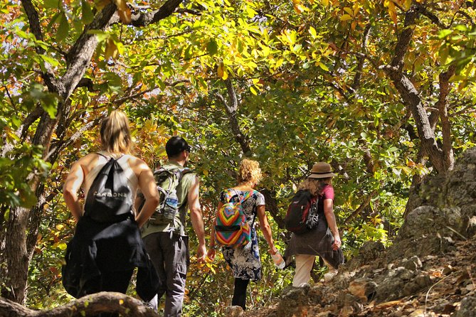 Ultimate Hierve el Agua Hike + Mezcal - Hierve el Agua pools: swim time and valley views before the rush