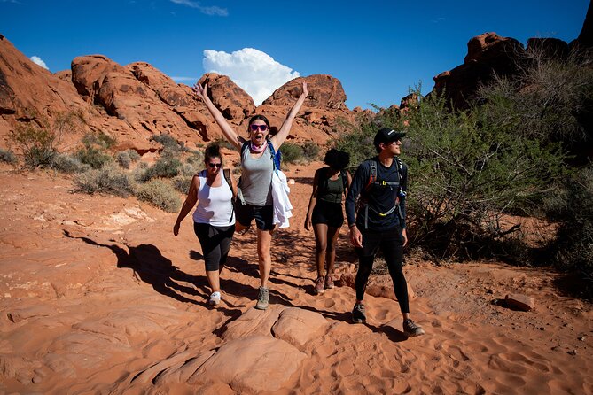 Valley of Fire Guided Hiking Tour and Mojave Desert Adventure - Key highlights you’ll feel on the trail