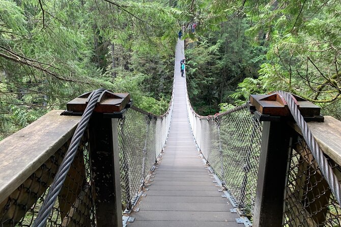 Vancouver Rainforest Hike with Waterfalls, Suspension Bridge, Old Growth Forest - Meet at Burrard Station: Transport, Timing, and Group Size