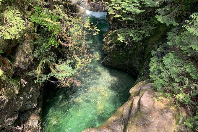 Vancouver Rainforest Hike with Waterfalls, Suspension Bridge, Old Growth Forest - Stop 2: Twin Falls, the Bridge Walk, and Old-Growth Forest Time
