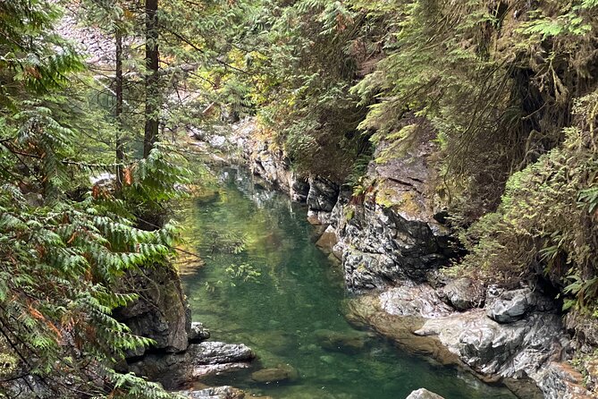 Vancouver Rainforest Hike with Waterfalls, Suspension Bridge, Old Growth Forest - Stairs, Hills, and Wet Ground: Fitness Notes You Should Actually Care About