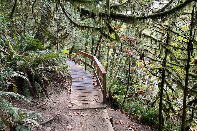Vancouver Rainforest Hike with Waterfalls, Suspension Bridge, Old Growth Forest - Wildlife, Photos, and That Lions Gate Bridge Moment