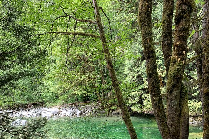 Vancouver Rainforest Hike with Waterfalls, Suspension Bridge, Old Growth Forest - Adrian’s Guide Touch: Pace, Snacks, and Recommendations