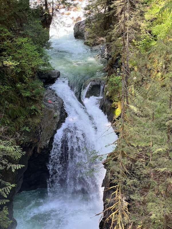 Vancouver: Rainforest Waterfall Hike and Suspension Bridge - What to bring (and what can help on stairs)