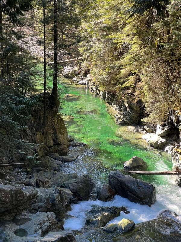 Vancouver: Rainforest Waterfall Hike and Suspension Bridge - Why Vancouver’s rainforests feel close