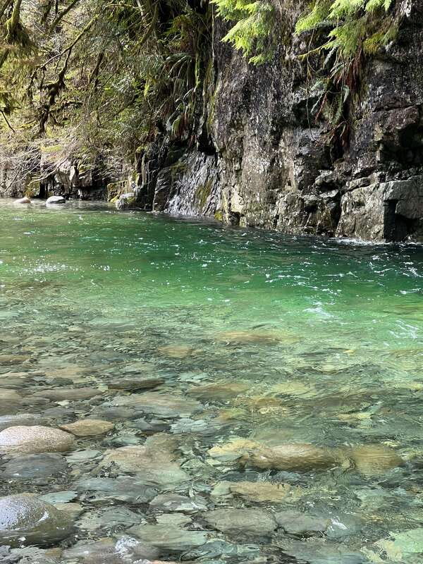 Vancouver: Rainforest Waterfall Hike and Suspension Bridge - The 9 km rainforest hike: what the effort level really means