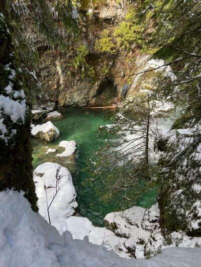 Vancouver: Rainforest Waterfall Hike and Suspension Bridge - Getting there: hotel pickup and a relaxed group size