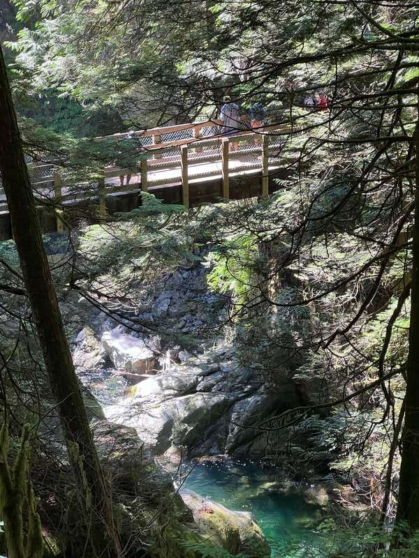 Vancouver: Rainforest Waterfall Hike and Suspension Bridge - The suspension bridge crossing: safe thrills with real payoffs