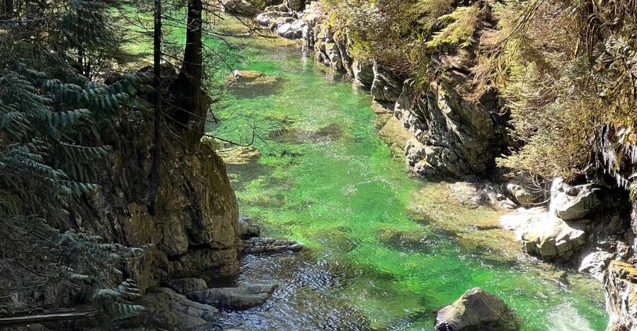 Vancouver: Rainforest Waterfall Hike and Suspension Bridge - Your guide experience: why it changes the whole walk