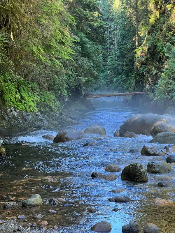 Vancouver: Rainforest Waterfall Hike and Suspension Bridge - Convenience that saves energy: timing and flow