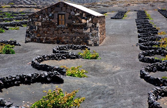 Vineyards of La Geria hiking tour - Key Points Before You Go
