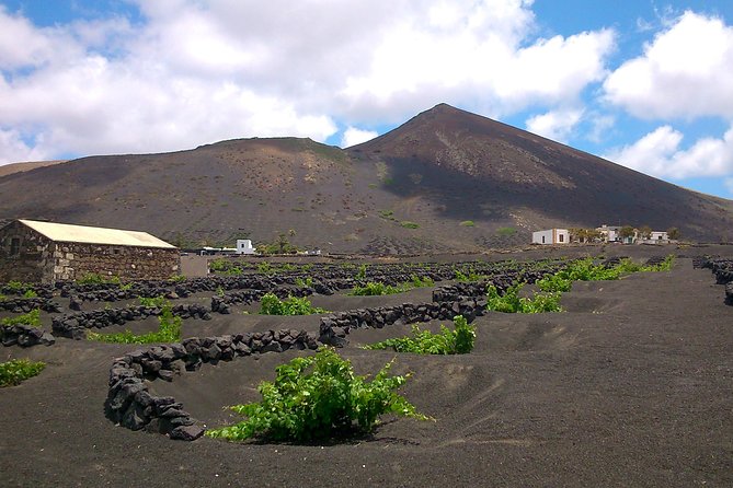 Vineyards of La Geria hiking tour - La Geria’s Vine Holes: Why This Walk Feels Different