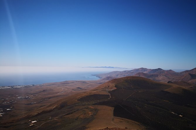 Vineyards of La Geria hiking tour - Bodegas Rubicón: Volcanic Malvasia and the Wine-and-Cheese Payoff