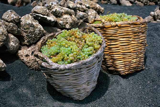 Vineyards of La Geria hiking tour - Price and Value: Is $60.34 Worth It?