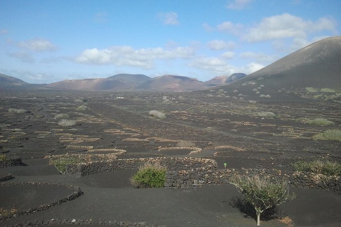 Vineyards of La Geria hiking tour - Pickup, Meeting Point, and Getting Your Timing Right