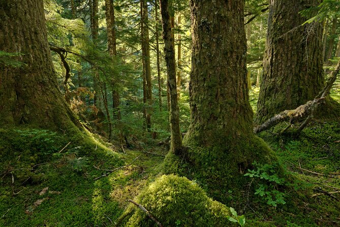 Visit Snoqualmie and Hike to Twin Falls (Transportation included) - Jonny and the small group: pacing that actually fits