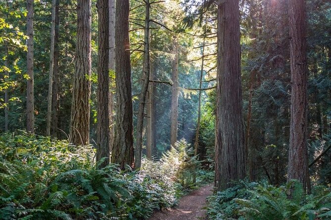 Visit Snoqualmie and Hike to Twin Falls (Transportation included) - What to pack: clothes, traction, and the cold-water factor
