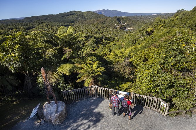 Volcanic Valley Self Guided Walking and Hiking at Waimangu - Native plants and animal life: the quiet side of Waimangu