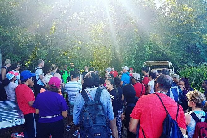 Volcano Caldera (Mt. Liamuiga) Trek / Hike - Getting There: Newton Ground and the 7-Hour Flow