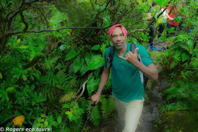 Volcano Caldera (Mt. Liamuiga) Trek / Hike - What I’d Pack and Plan For (So You Don’t Fight the Day)