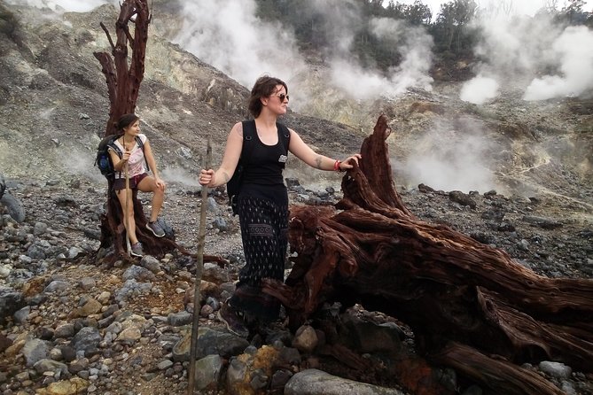 volcano hike and jungle trekking adventure - Key Highlights at a Glance