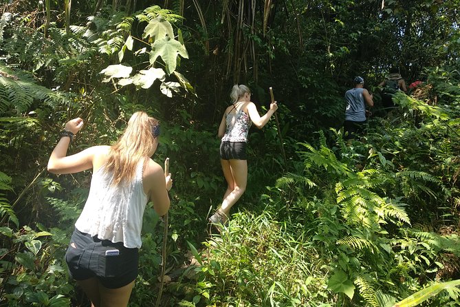 volcano hike and jungle trekking adventure - Hot springs soak and waterfall swim: the fun part (and what to prepare)