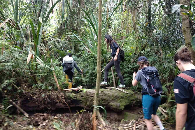 volcano hike and jungle trekking adventure - Guides and driving: small details that make the day feel smooth