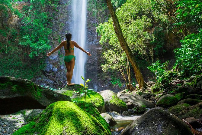 Wailua River Kayak and Sacred Falls Guided Hike with Lunch - Wailua River Kayak and Sacred Falls: Why This Combo Works