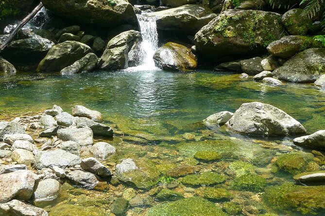 Waterfall Hike in Remote Area of El Yunque Rainforest; San Juan - Following the Espiritu Santo River: where the day turns from sight to swim