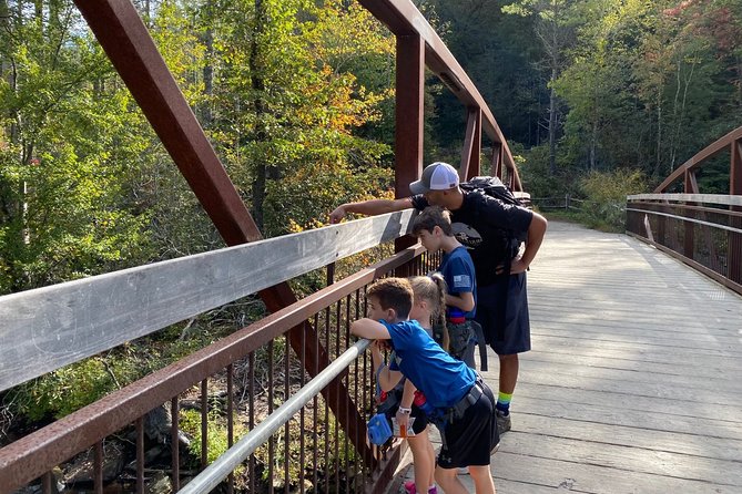Waterfall Jeep Tour - Backroads and Scenic Views - Stop 3 on the Blue Ridge Parkway: 5,000-foot views you can step outside for