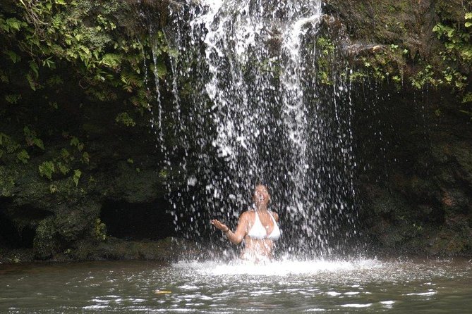 Waterfall & Rainforest Hiking Adventure with Hotel Pickup - Hana Highway vibes, minus the megacrowd feeling