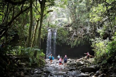 Waterfall & Rainforest Hiking Adventure with Hotel Pickup - Getting there: hotel pickup, Paia passing, and Ho’okipa lookout time