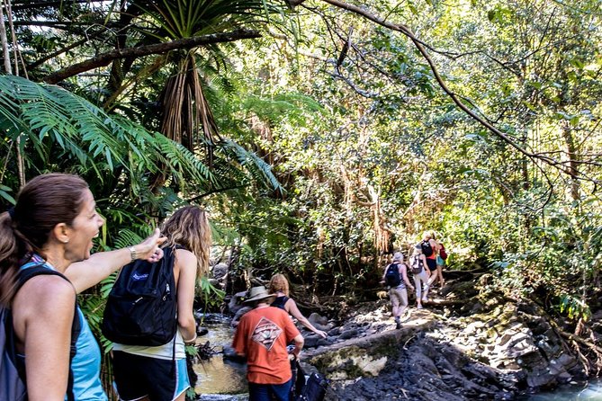 Waterfall & Rainforest Hiking Adventure with Hotel Pickup - Small group size: why it feels personal (and safer on slippery ground)